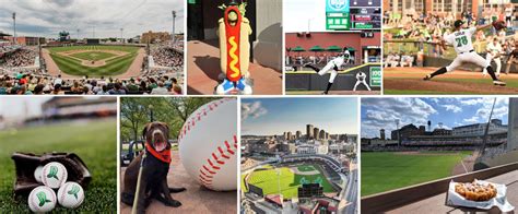 5 Fun Facts about the Dayton Dragons .